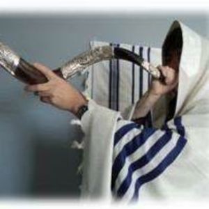 Meet your Posher, Teresa